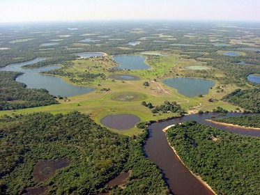 бразилия пантанал эко - pantanal brazil