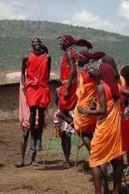 заповедник масаи мара в кении