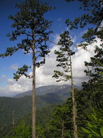 национальный парк гондураса - сьерра-де-агальта